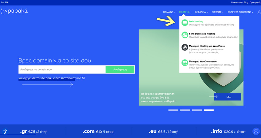 Πώς φτιάχνω blog: Web hosting